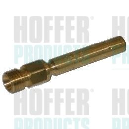 Injecteur