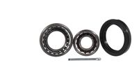 SKF Kit de roulements de roue