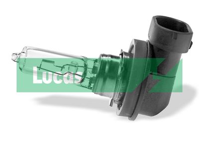 Ampoule, projecteur longue portée