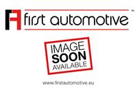 1A FIRST AUTOMOTIVE Filtre à air