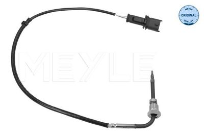 Capteur, température des gaz