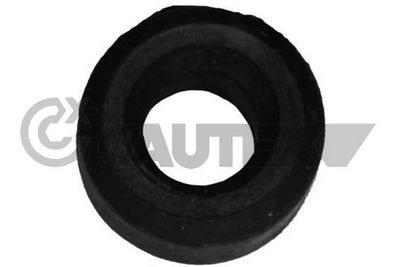 Suspension, stabilisateur