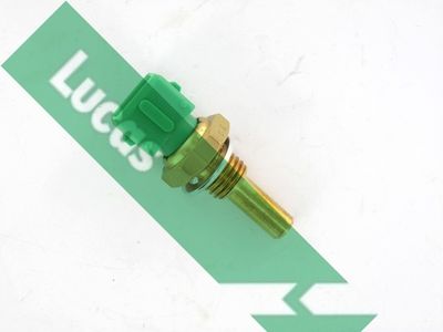 Sonde de température, liquide de refroidissement