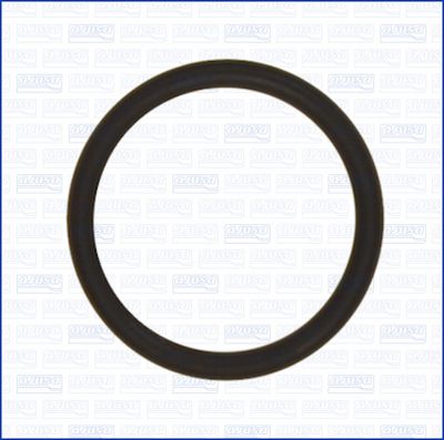 Bague d'étanchéité, tube d'aspiration (pompe à hui