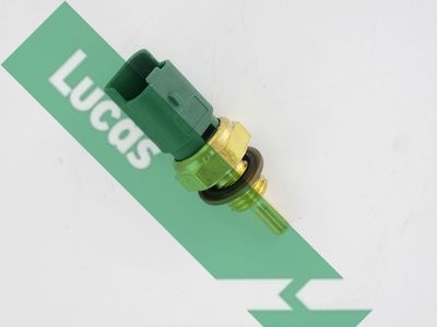 Sonde de température, liquide de refroidissement